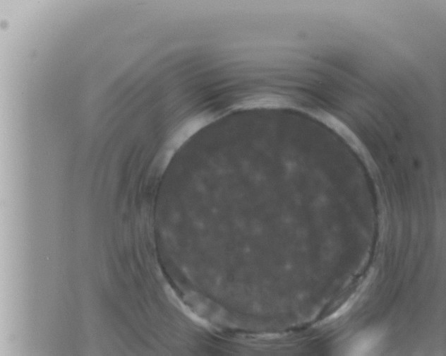 X0000062831337200601271941