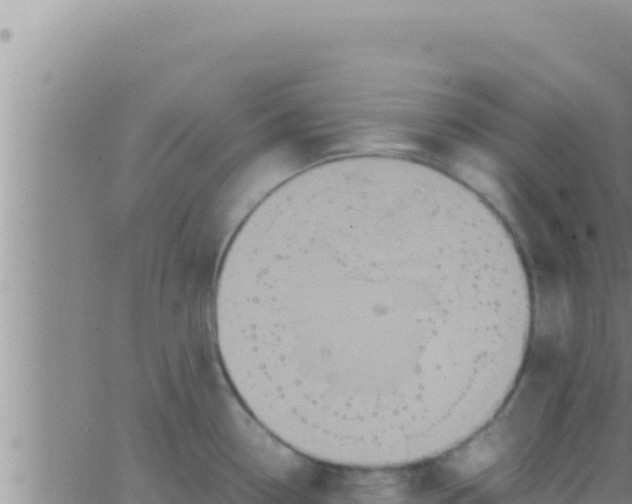 X0000062831338200601271941