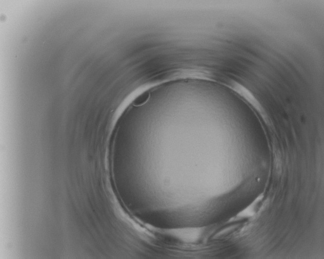 X0000062831339200601271941