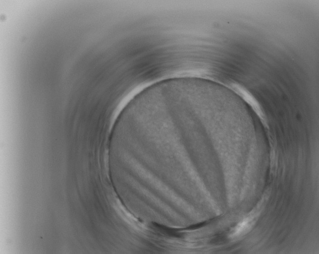 X0000062831340200601271941