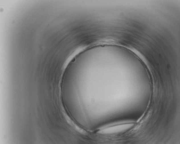 X0000062831341200601271941