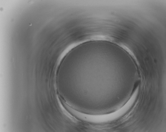 X0000062831342200601271942