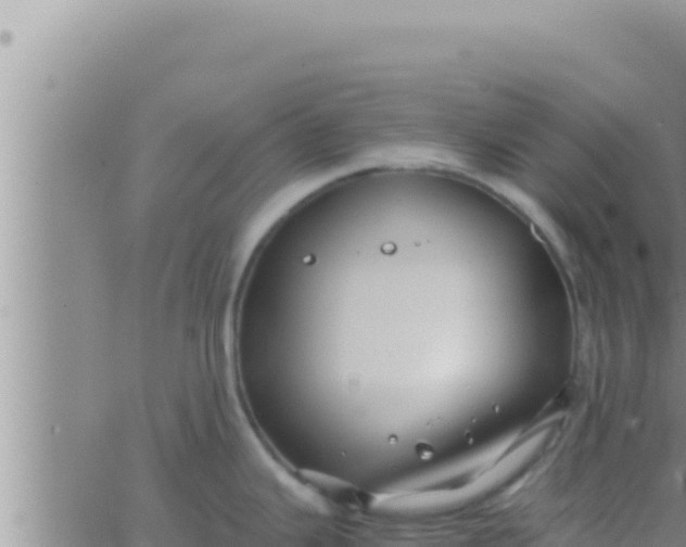 X0000062831343200601271942