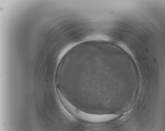 X0000062831344200601271942