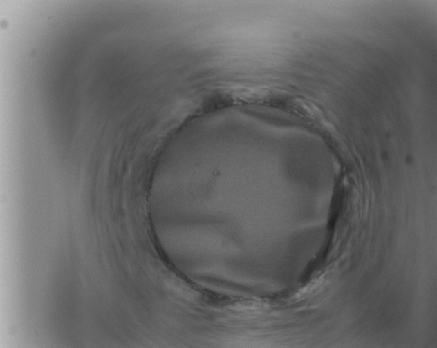 X0000062831345200601271941