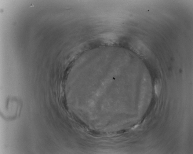 X0000062831347200601271941