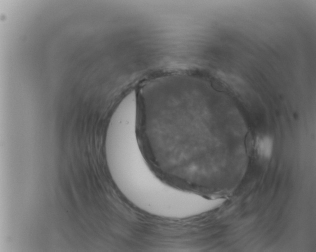 X0000062831348200601271941