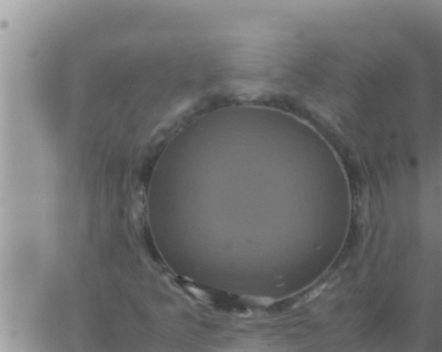 X0000062831349200601271941