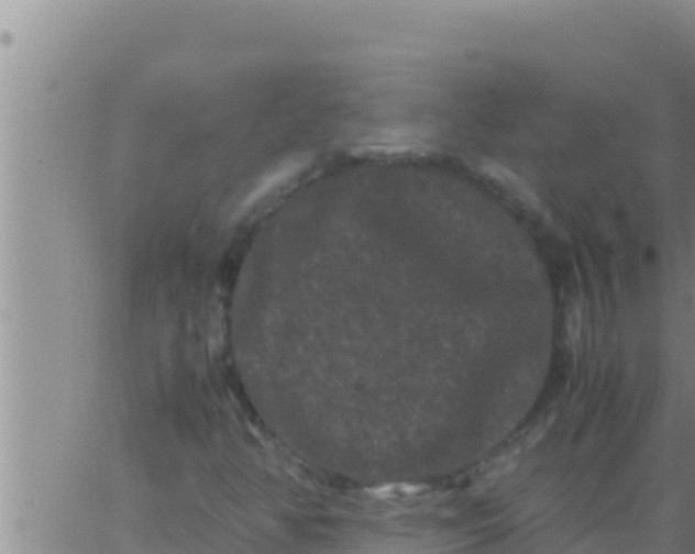 X0000062831350200601271941