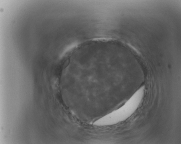 X0000062831351200601271941