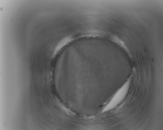 X0000062831352200601271941