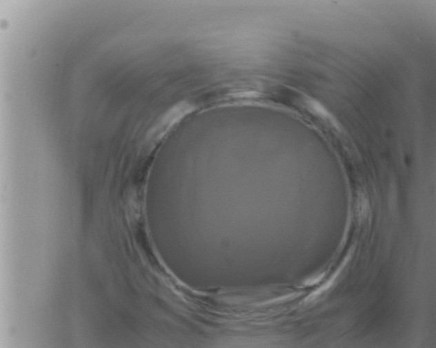 X0000062831353200601271941