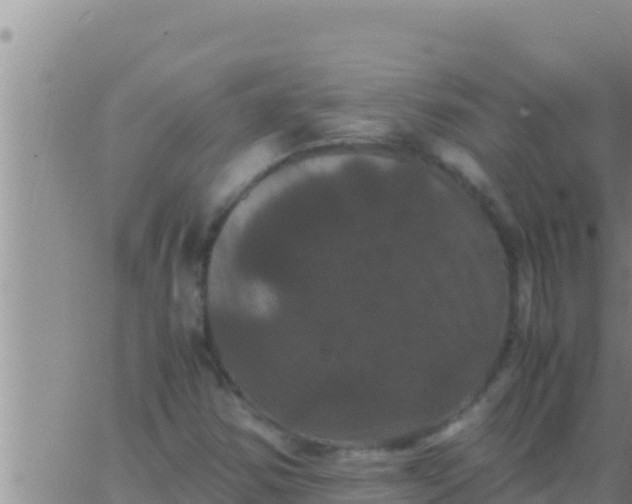 X0000062831354200601271941