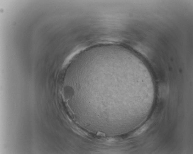 X0000062831355200601271940