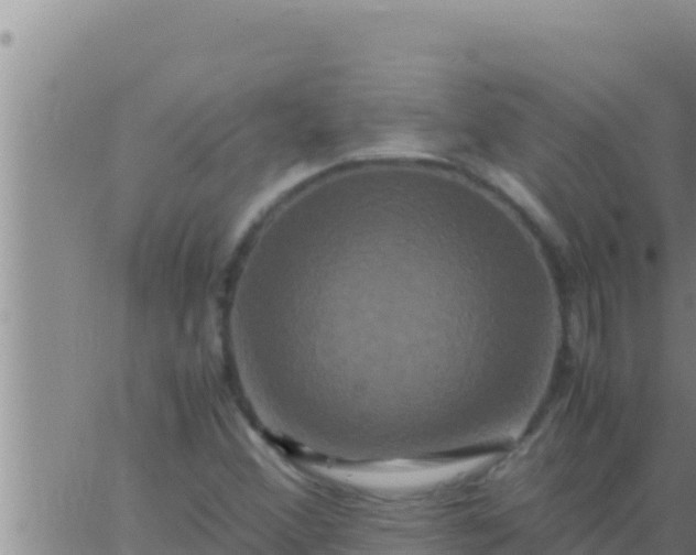 X0000062831356200601271940