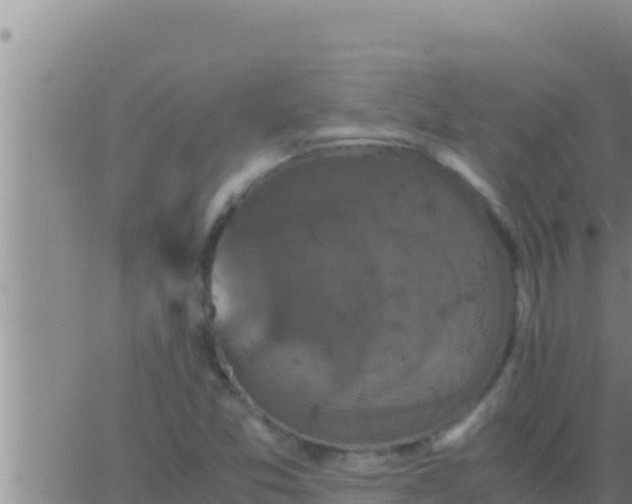 X0000062831357200601271940