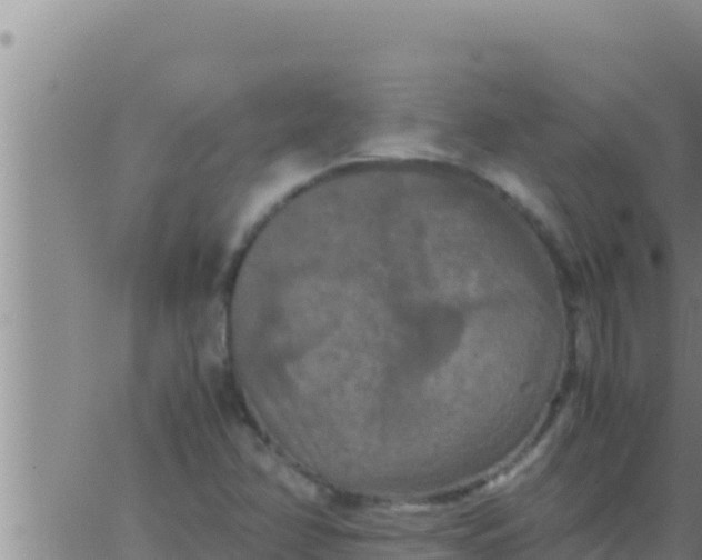 X0000062831358200601271940