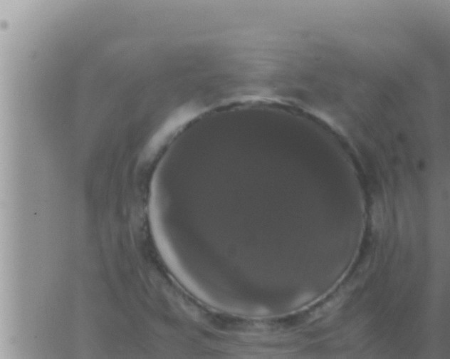 X0000062831359200601271940