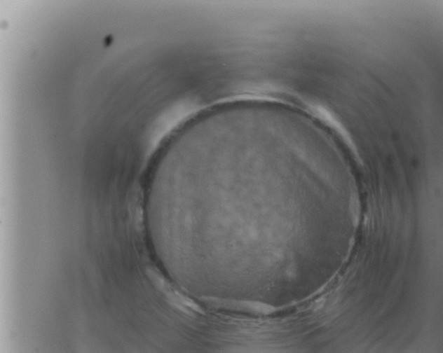 X0000062831360200601271940