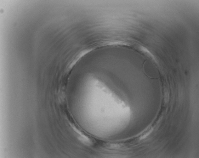 X0000062831361200601271940