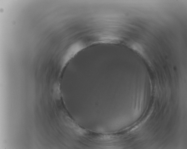 X0000062831362200601271940