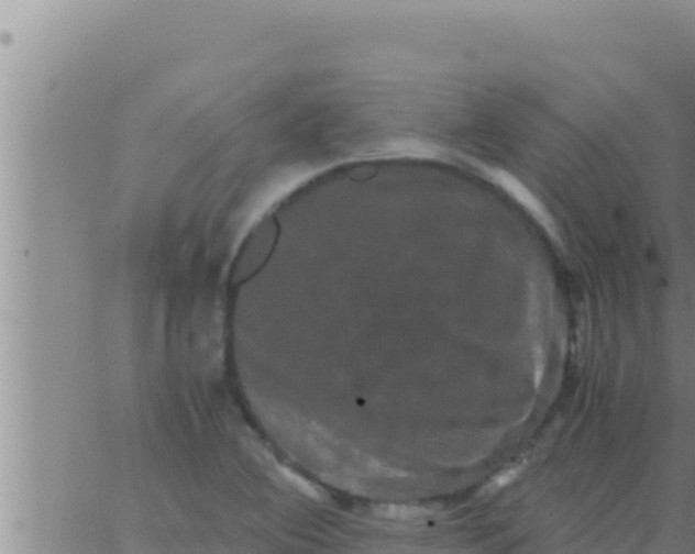 X0000062831364200601271940