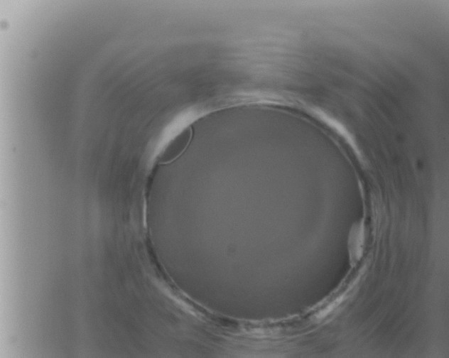 X0000062831365200601271940