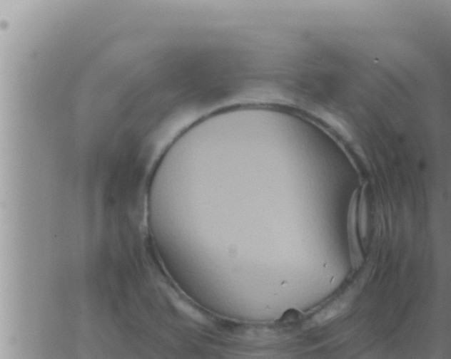 X0000062831366200601271940