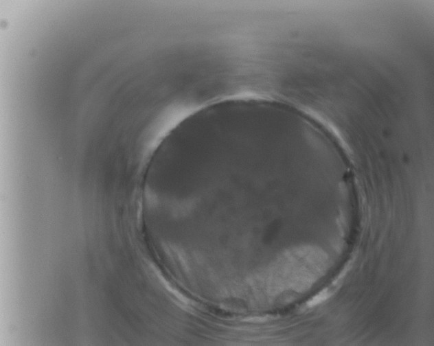 X0000062831367200601271940