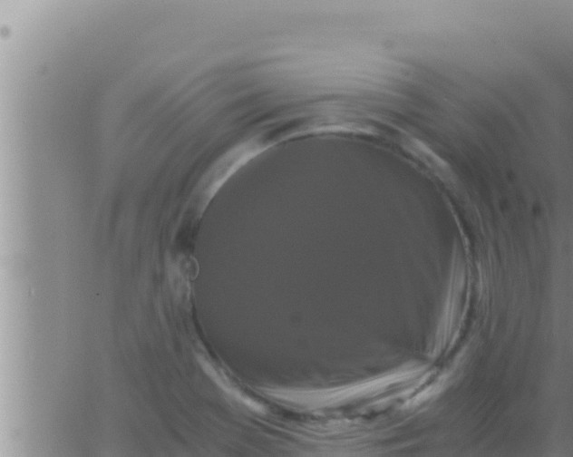 X0000062831369200601271940