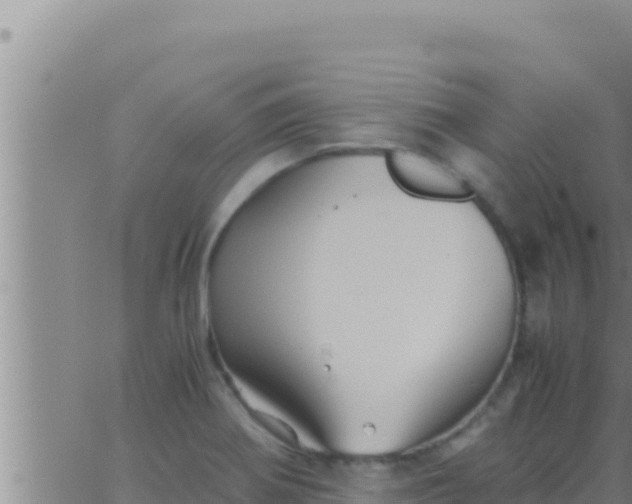 X0000062831370200601271940