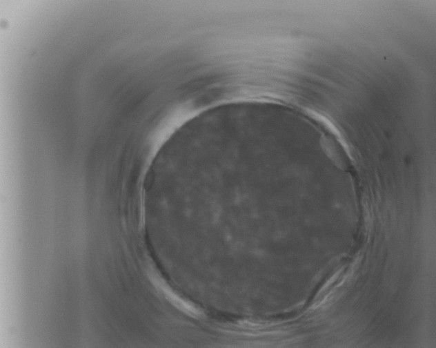 X0000062831371200601271940