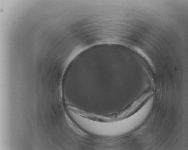 X0000062831372200601271940