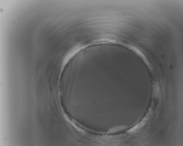 X0000062831373200601271940