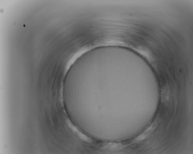 X0000062831374200601271940