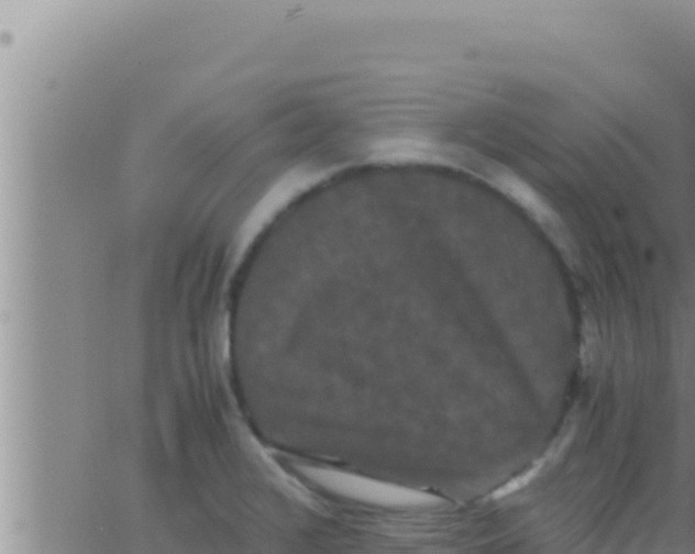 X0000062831376200601271940