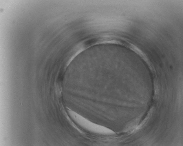 X0000062831377200601271940