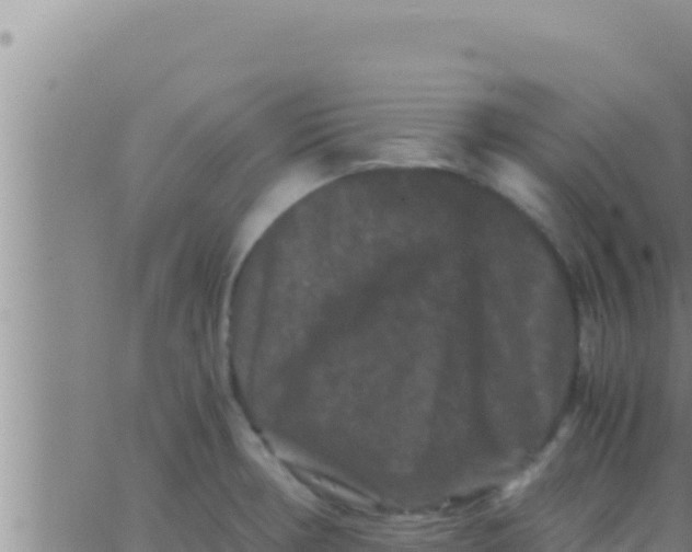 X0000062831378200601271940