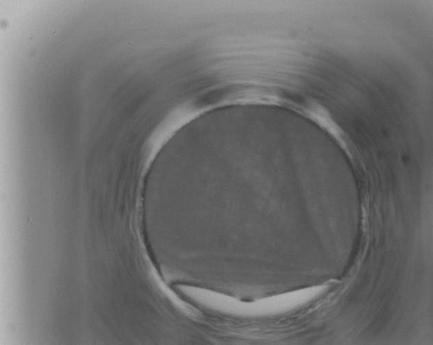 X0000062831379200601271940