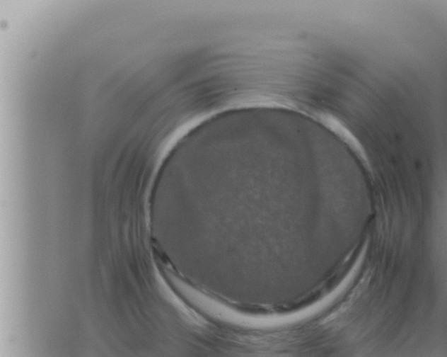 X0000062831380200601271940