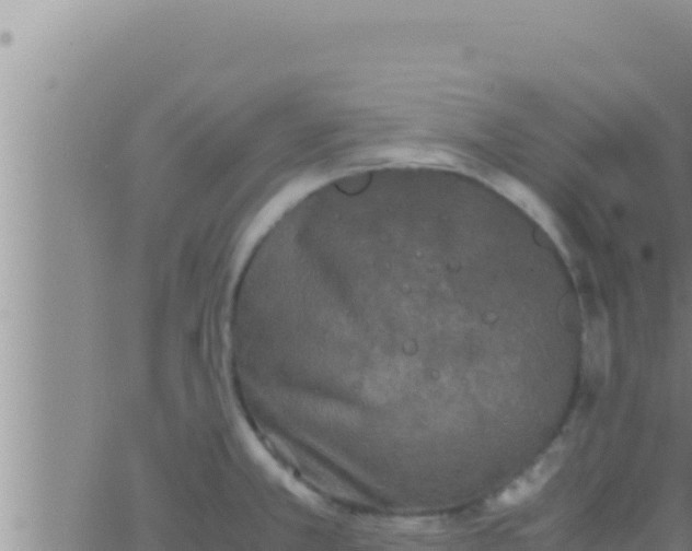 X0000062831381200601271940