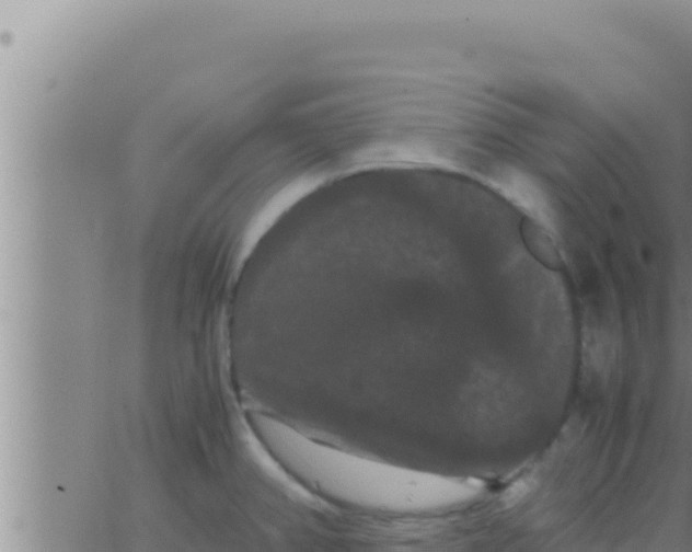 X0000062831382200601271940