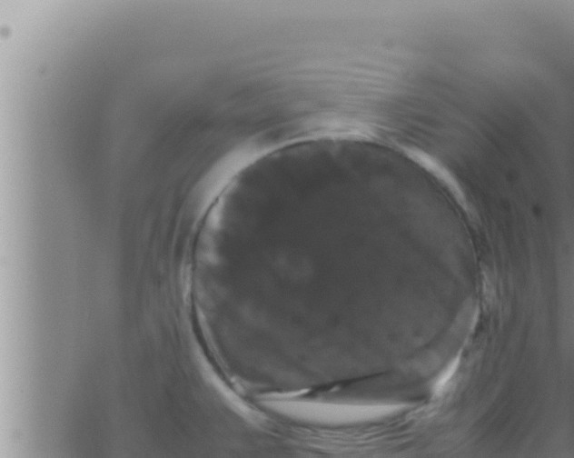 X0000062831383200601271940