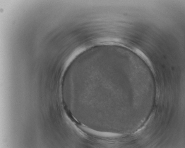 X0000062831384200601271940