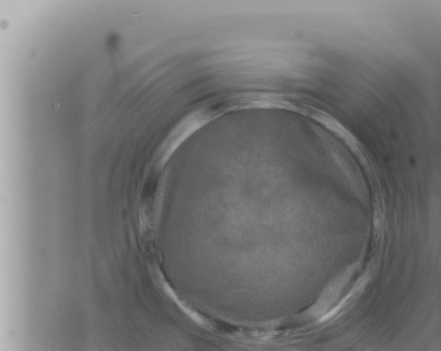 X0000062831385200601271940