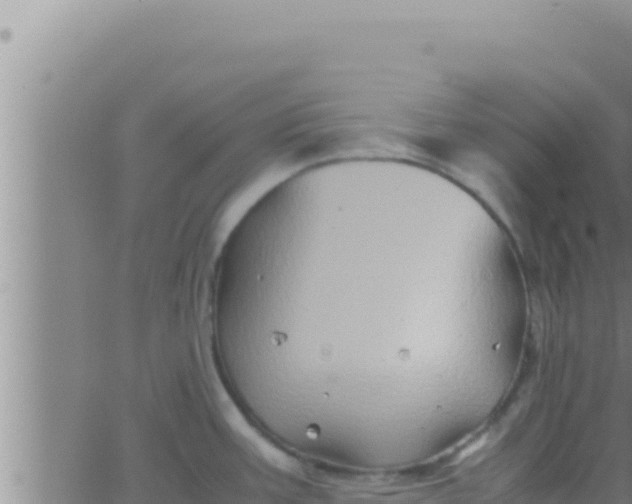 X0000062831387200601271940