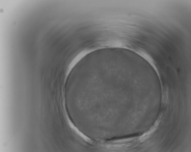 X0000062831389200601271940