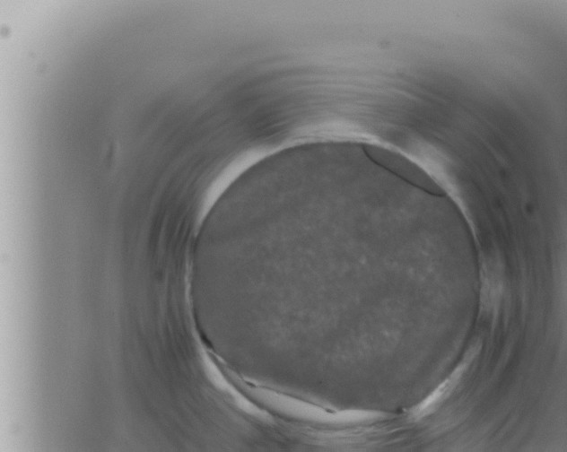 X0000062831390200601271940