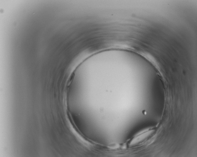 X0000062831391200601271940