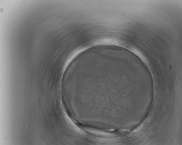 X0000062831392200601271940